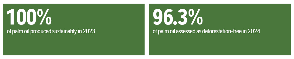 Palm Oil Production